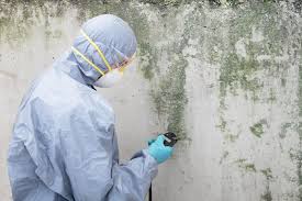 Why You Should Choose Our Mold Remediation Services in Whitney, TX